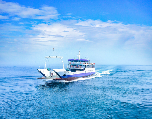 International Sea Freight Forwarding DDP From China To USA / UK