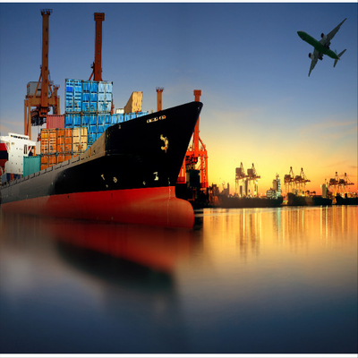 DDP International Sea Freight Forwarding From China To Singapore