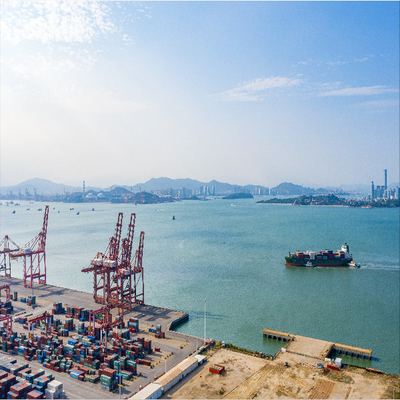 International FCL LCL From China To Kingston Sea Freight Forwarder