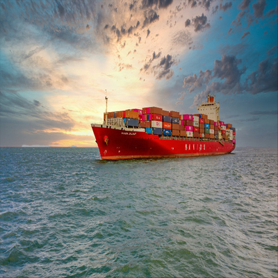 Door To Door Logistic International Sea Freight Forwarding Service From China To Usa