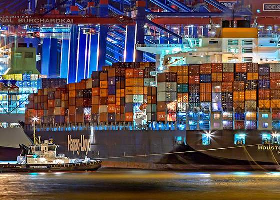 Door To Door International Fast Courier Service