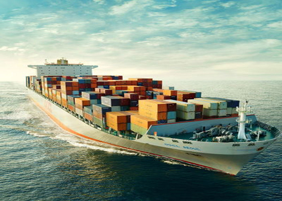 40HQ International Sea Freight Forwarding , Saudi Arabia Door To Door Ocean Freight