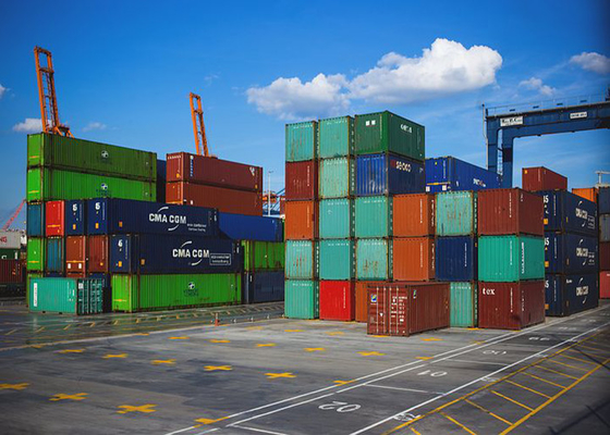 PIL/APLL/MSC LCL Sea Freight China To Canada USA Europe