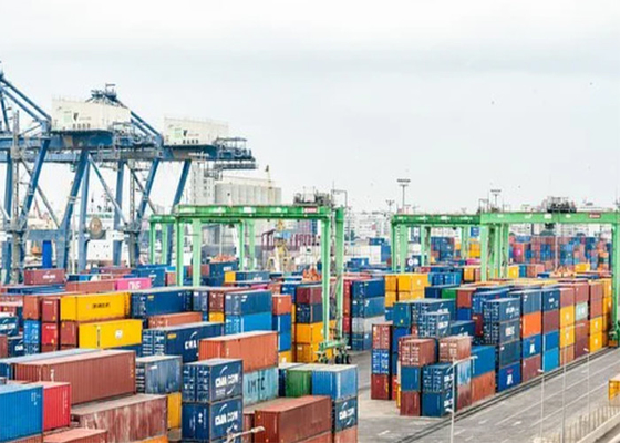 PIL/APLL/MSC LCL Sea Freight China To Canada USA Europe