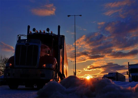 DDP Door To Door Forwarder From China To Middle East