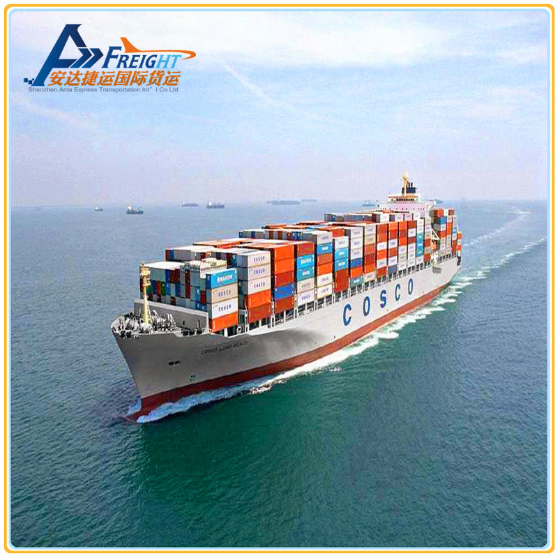 Shipping Container From China to Russia Door to Door Cargo Dropshipping Sea Freight