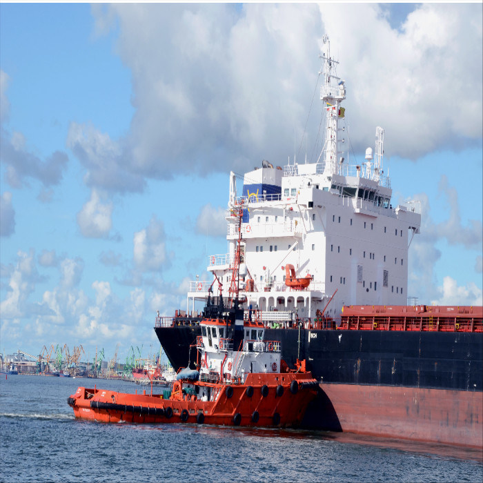 Logistics International Sea Freight Services From China To Singapore